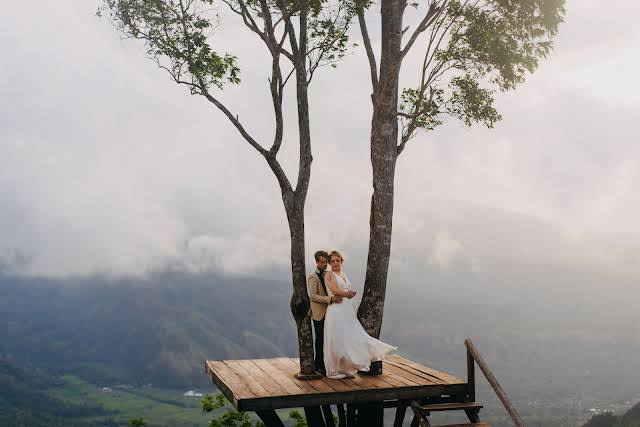 Island Romance